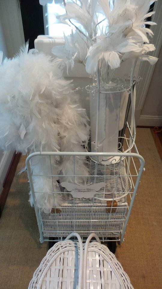 11960198_10206252190777494_8604406409912025868_n